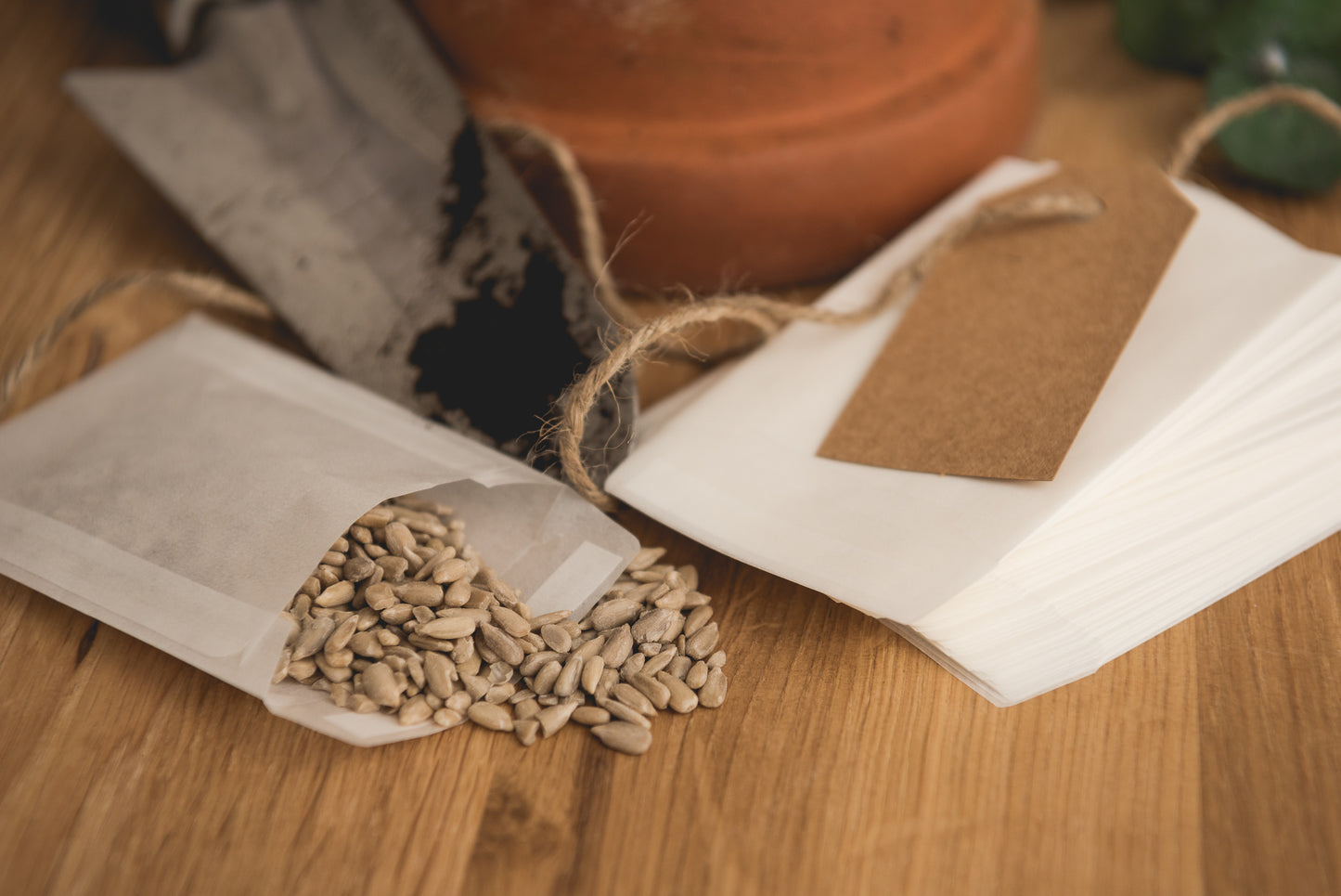Glassine Bag | 68 x 92mm | Peel and Seal