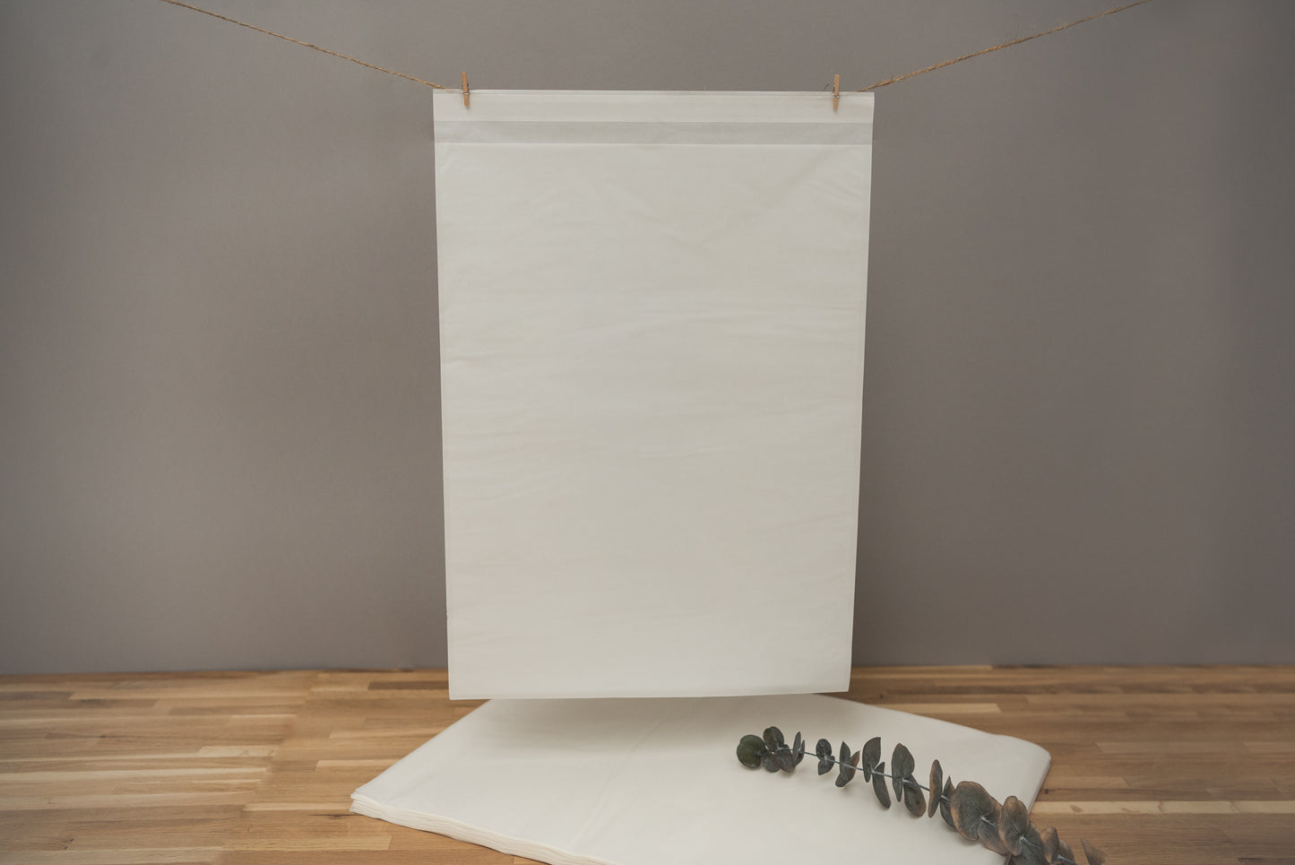 Glassine Bag | 330 x 450mm (C3) | Peel and Seal Single