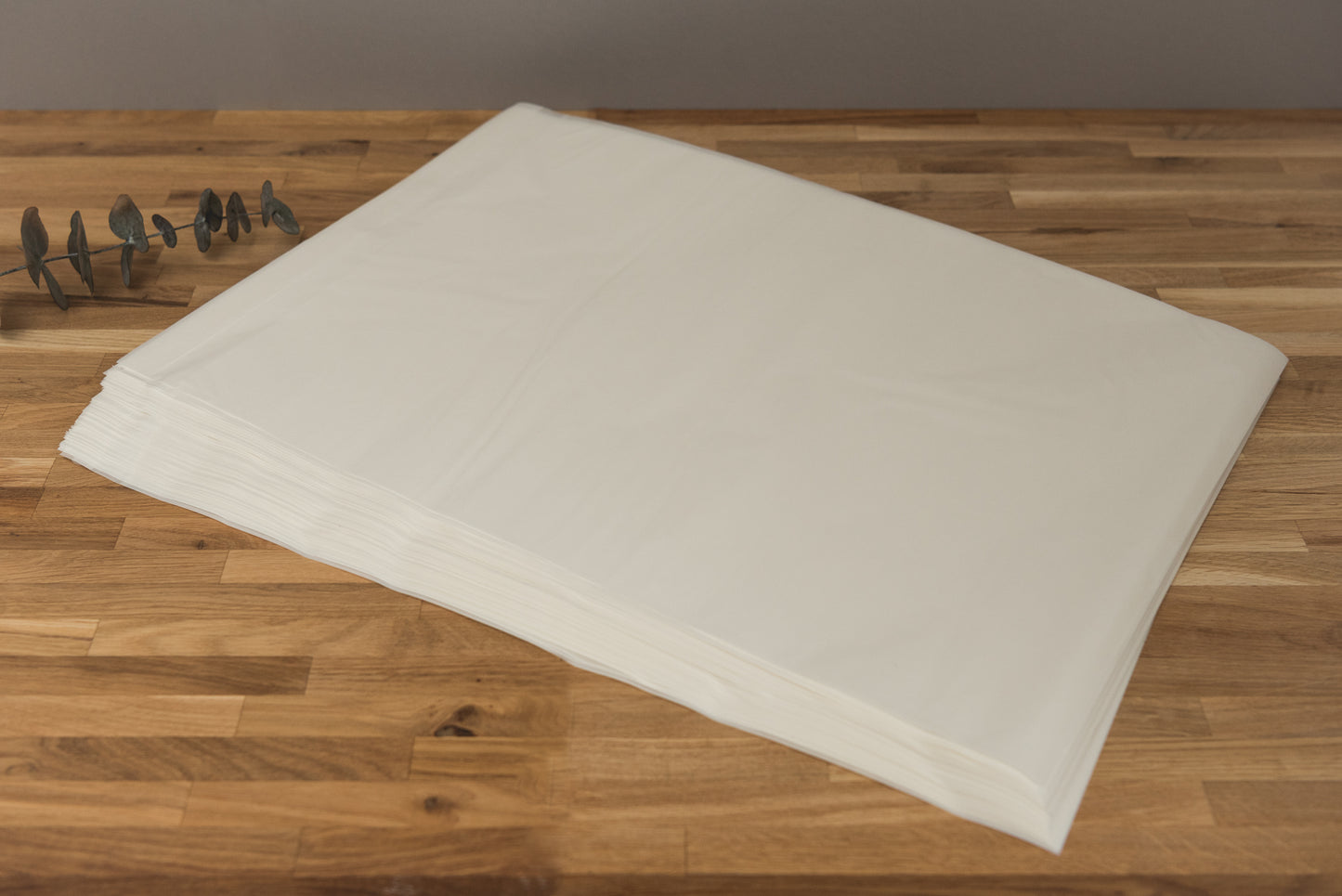 Glassine Bag | 330 x 450mm (C3) | Peel and Seal